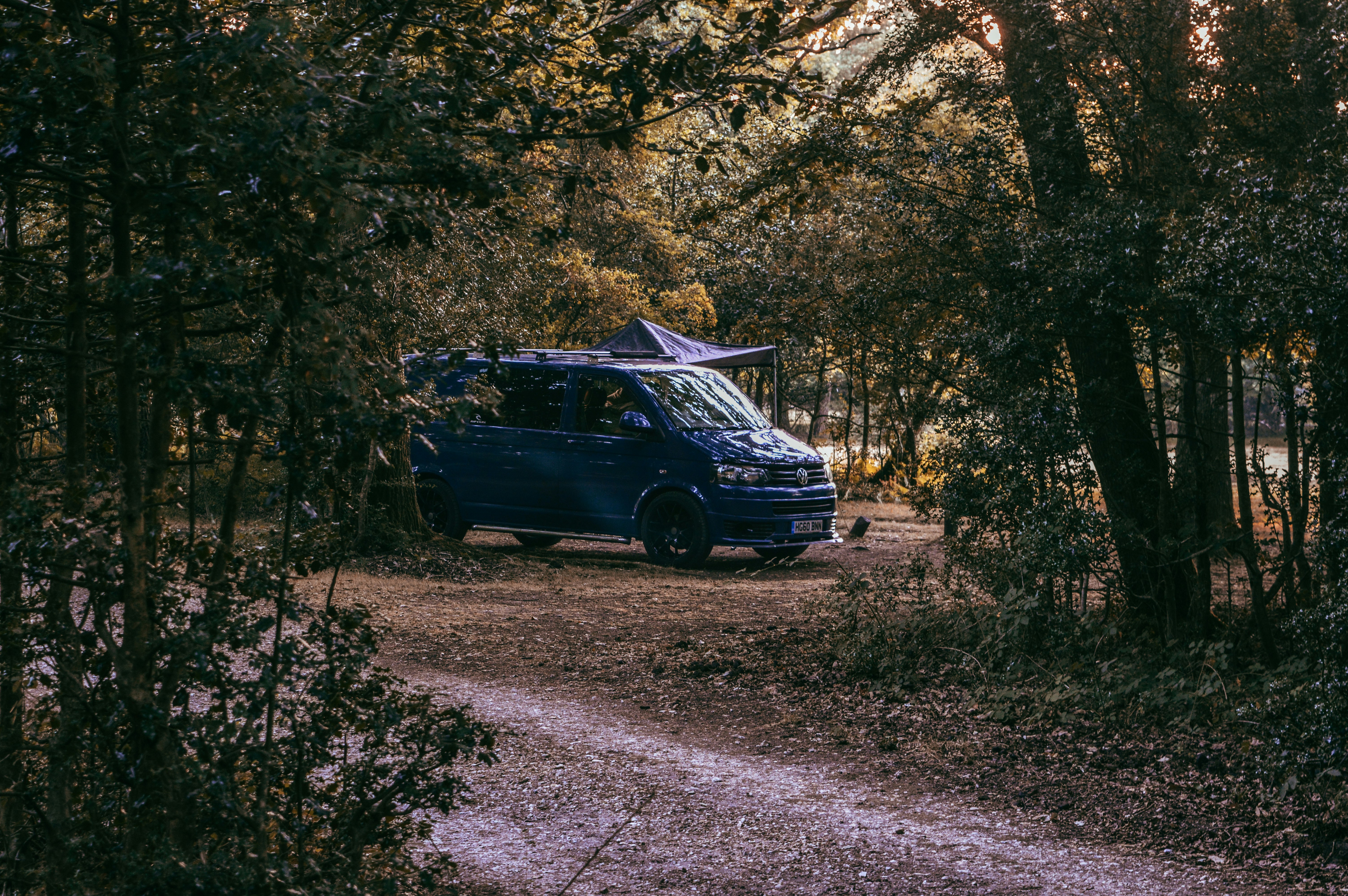Blue vw camper van in the woods
