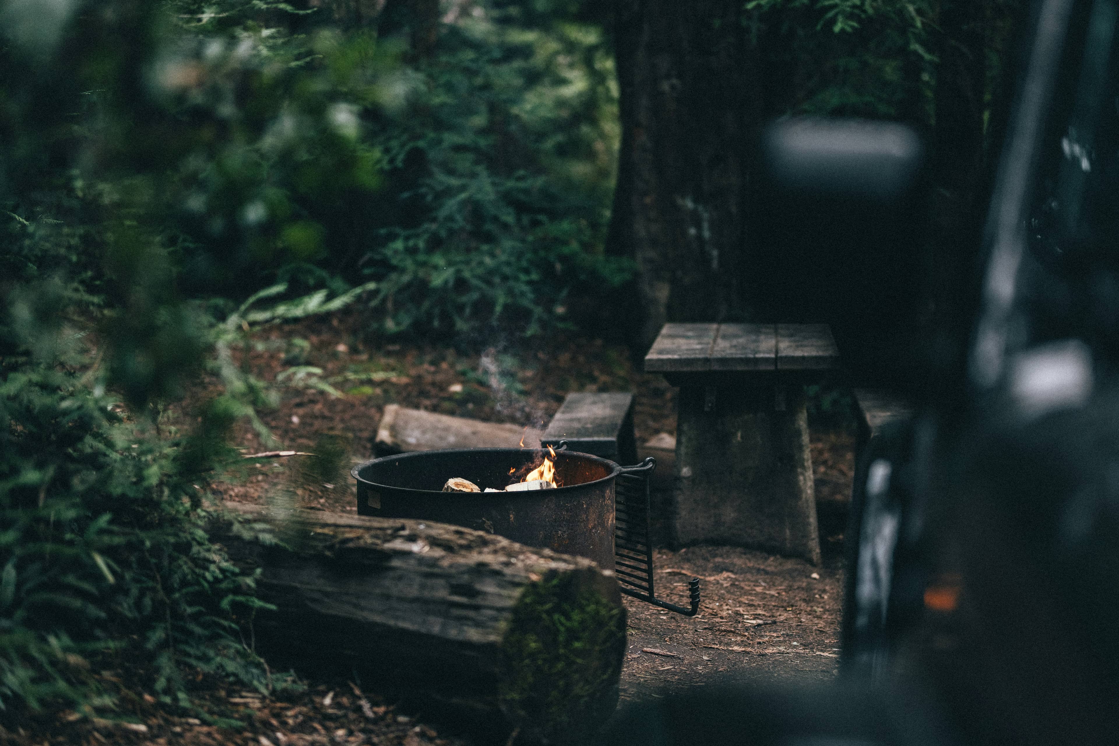 campsite in the woods and a camp fire