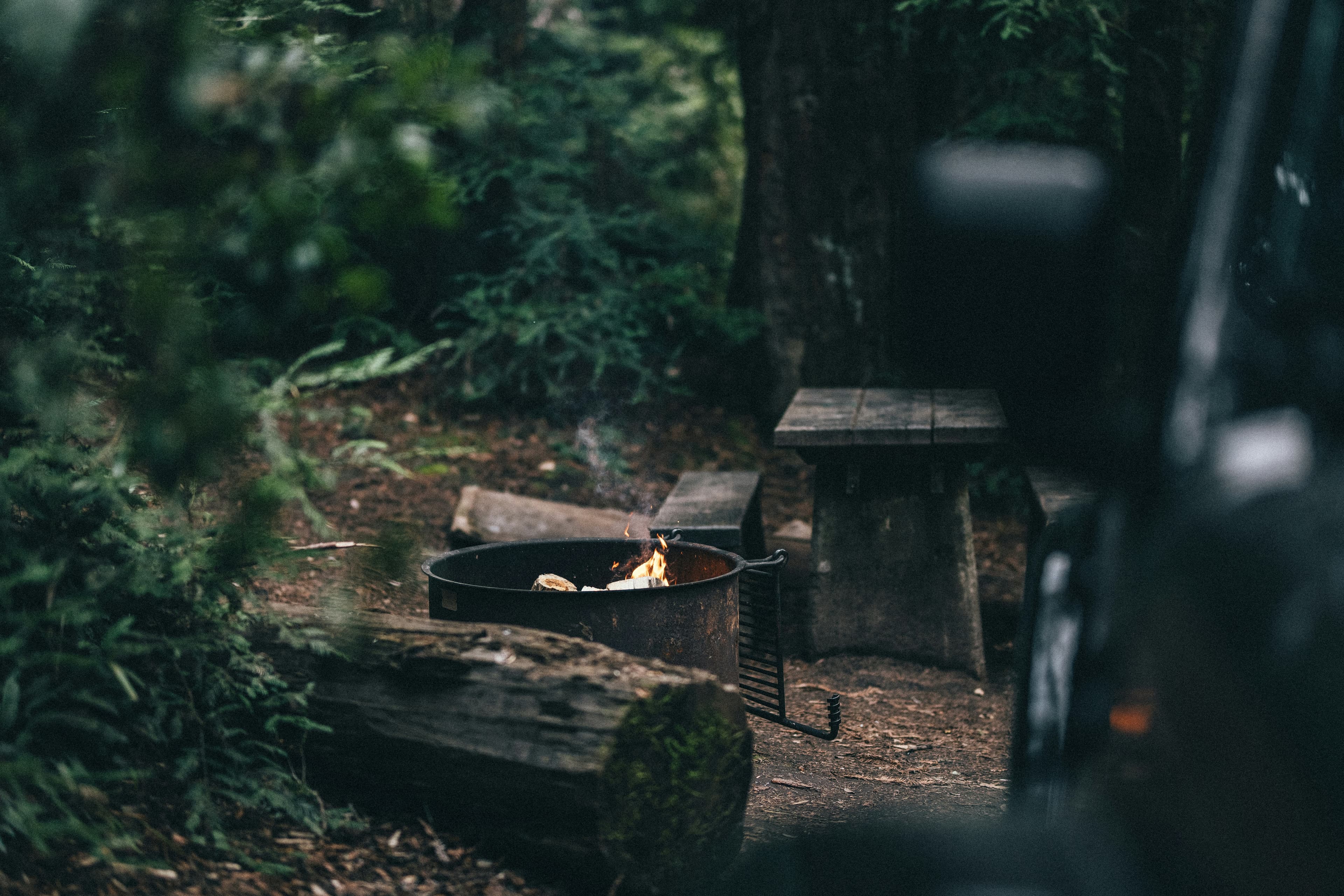 Campfire glow in the woods — a quiet reset